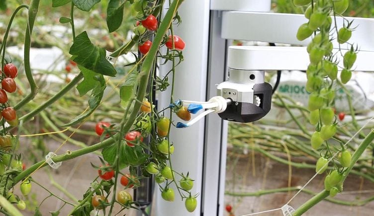 harvesting robots agriculture root ai